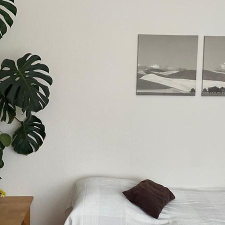 Fewo Oberhausen-Alstaden Oberhausen  Eksteriør billede